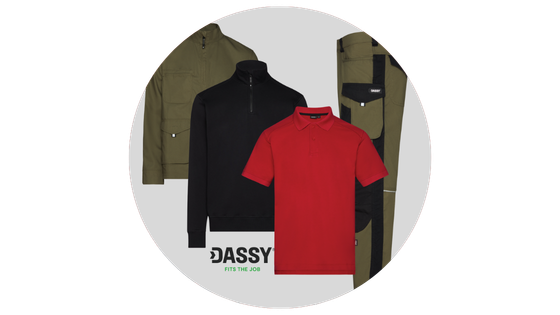 Nieuwsbrief website DASSY 2